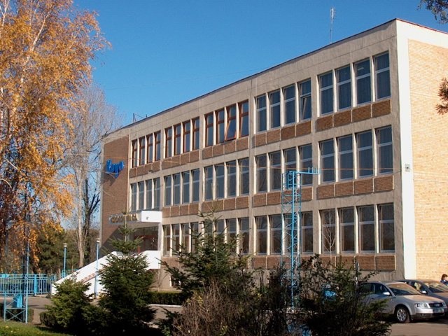 Photograph